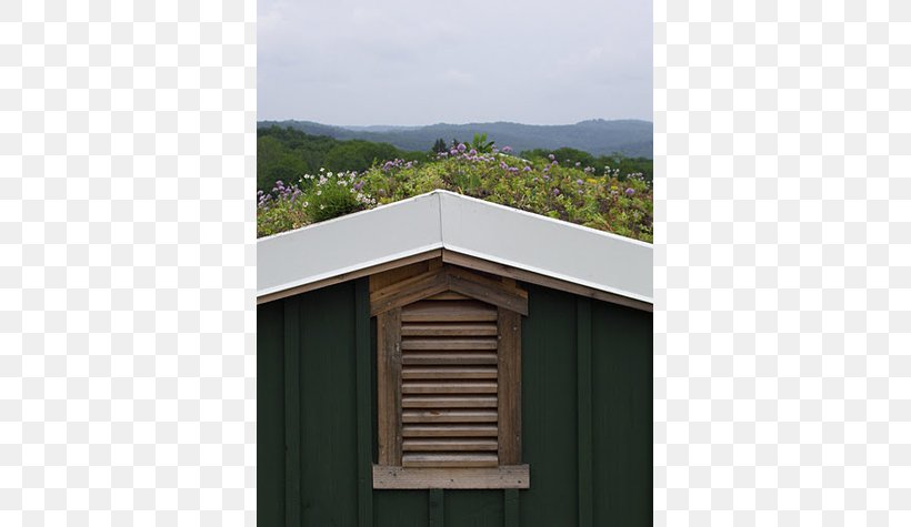 Window Roof Property Shed Outhouse, PNG, 713x475px, Window, Facade, Home, House, Land Lot Download Free
