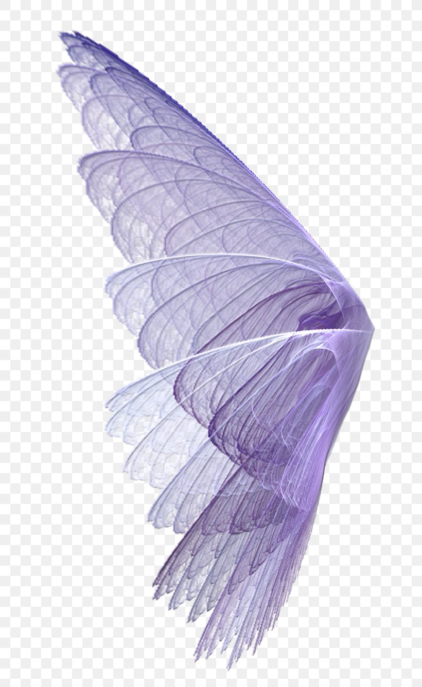 Wing Feather Transparency And Translucency, PNG, 743x1336px, Wing, Animation, Copying, Deviantart, Feather Download Free