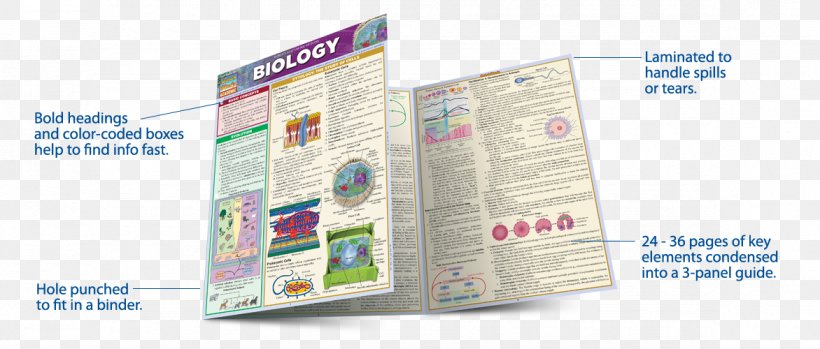 Biology Terminology (Speedy Study Guide) Study Skills SQL Guide, PNG, 1172x500px, Study Guide, Advertising, Biology, Brand, Brochure Download Free