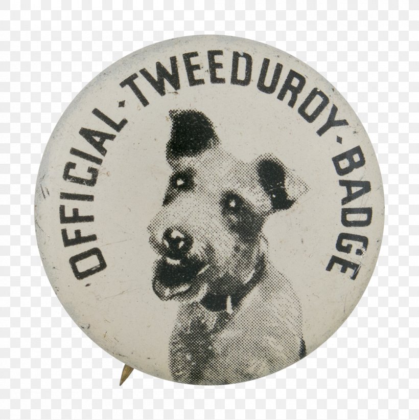 Dog Badge Museum Button Collar, PNG, 1000x1002px, Dog, Badge, Button, Canidae, Carnivore Download Free