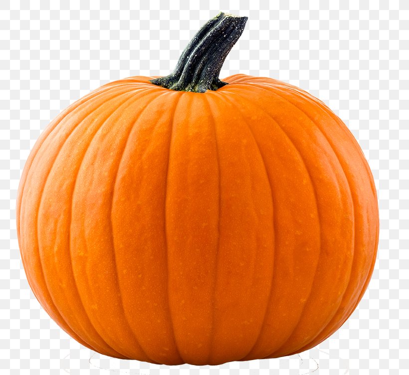 Giant Pumpkin Jack-o'-lantern Halloween Pumpkins Cucurbita Maxima, PNG, 781x752px, Pumpkin, Acorn Squash, Calabaza, Carving, Cucumber Gourd And Melon Family Download Free