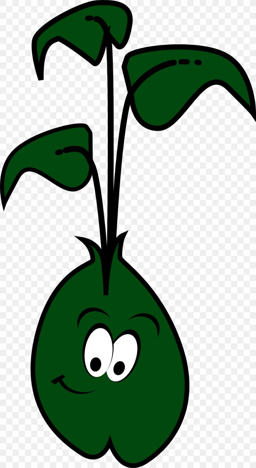 Sprouting Brussels Sprout Bean Clip Art, PNG, 1050x1920px, Sprouting, Artwork, Bean, Black And White, Brussels Sprout Download Free