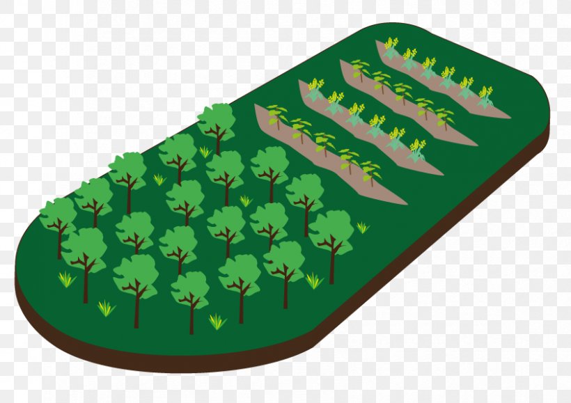 Afforestation Reforestation Woodlot Agroforestry Deforestation, PNG, 842x595px, Afforestation, Agroforestry, Deforestation, Erosion, Farm Download Free