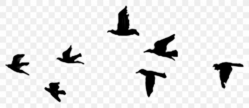 Bird Tattoo Sky Cabs Clip Art Drawing, PNG, 1264x548px, Bird, Arabic Tattoos, Beak, Bird Migration, Black And White Download Free