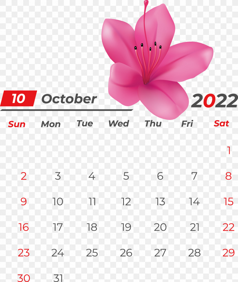 Calendar Line Font Flower Petal, PNG, 3974x4697px, Calendar, Flower, Geometry, Line, Mathematics Download Free