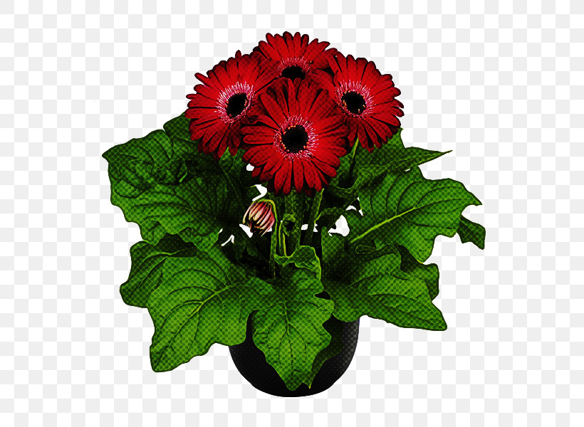 Flower Barberton Daisy Plant Gerbera Cut Flowers, PNG, 600x600px, Flower, Barberton Daisy, Bouquet, Cut Flowers, Flowerpot Download Free
