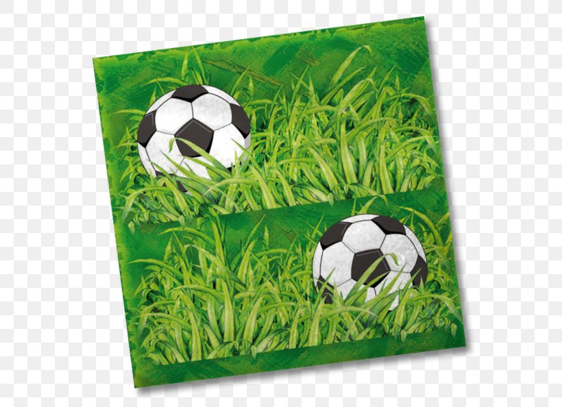 Grasses Football Family, PNG, 792x594px, Grasses, Ball, Family, Fauna, Football Download Free