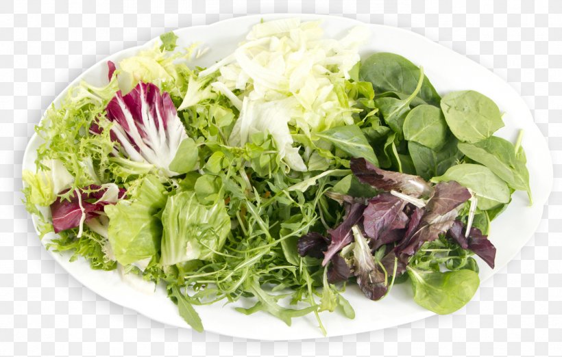 Greek Salad Caesar Salad Waldorf Salad Vegetarian Cuisine Romaine Lettuce, PNG, 1391x887px, Greek Salad, Caesar Salad, Dish, Food, Greek Cuisine Download Free