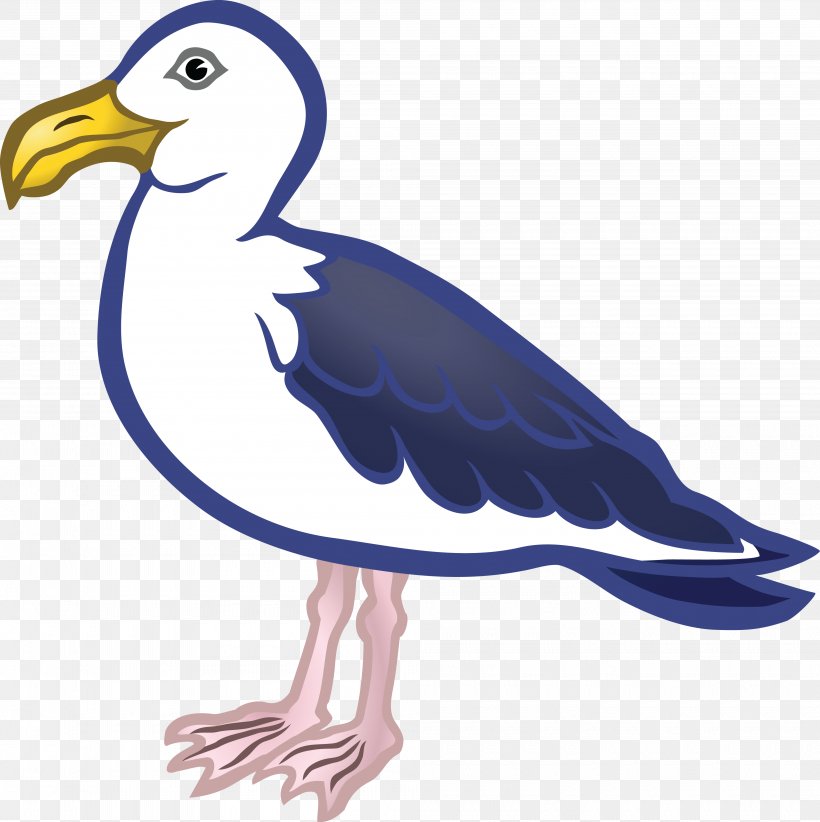 Gulls Bird Clip Art, PNG, 4000x4012px, Gulls, Artwork, Beak, Bird, Bird Of Prey Download Free
