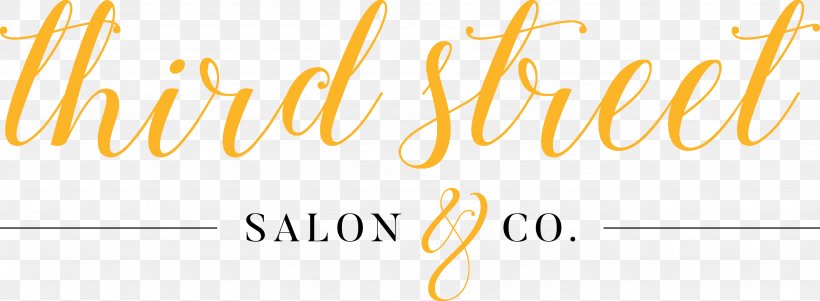 Third Street Salon & Co. Hyperemesis Gravidarum Business Beauty Parlour Brand, PNG, 2784x1023px, Hyperemesis Gravidarum, Area, Beauty Parlour, Brand, Business Download Free
