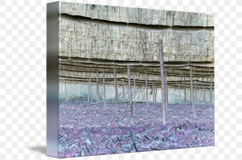 Wood /m/083vt, PNG, 650x541px, Wood, Purple, Structure, Wall Download Free