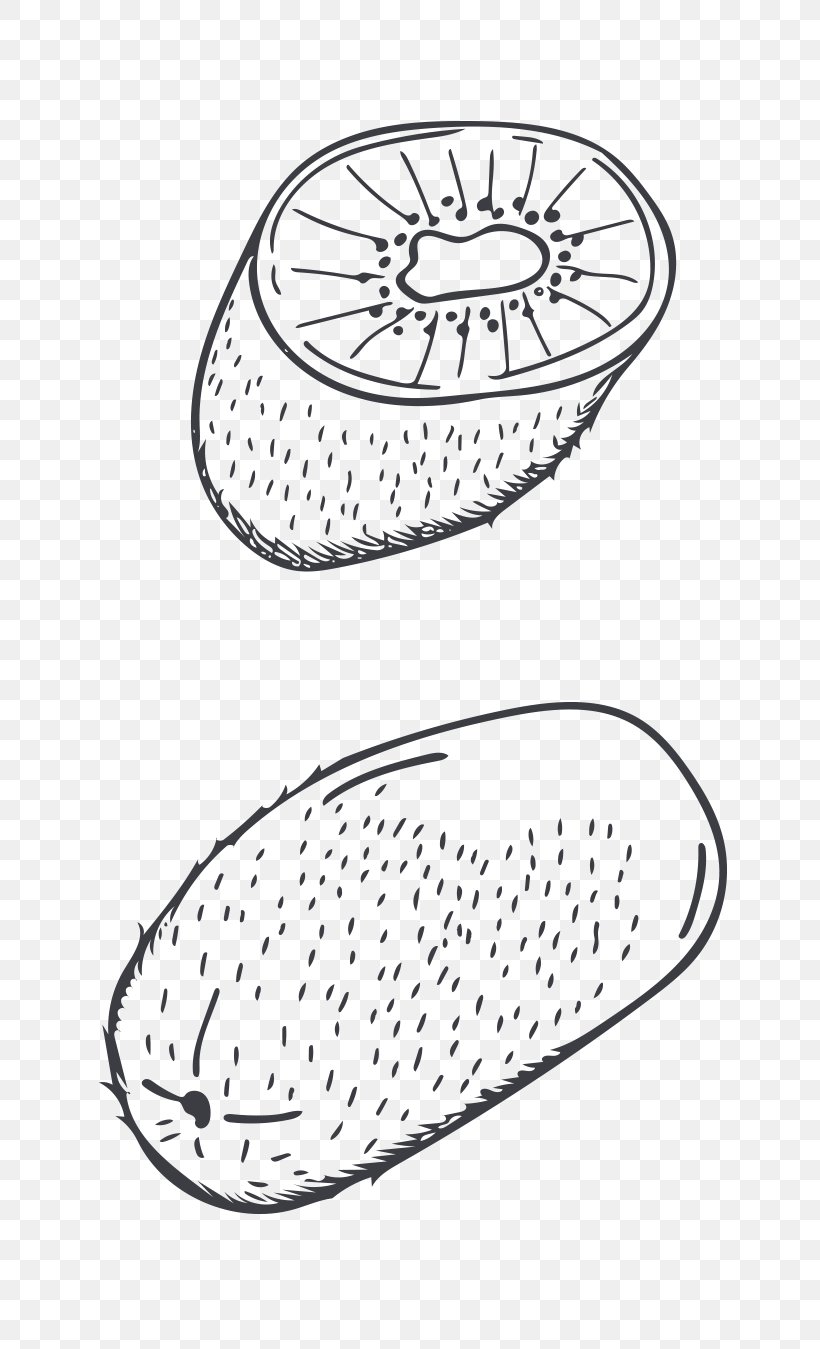 Kiwifruit Cartoon Drawing, PNG, 787x1349px, Kiwifruit, Area, Auglis, Black And White, Cartoon Download Free