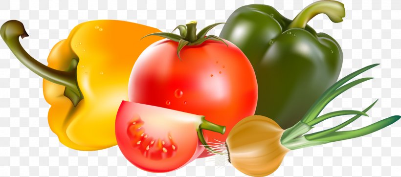 Bell Pepper Tomato Garlic Clip Art, PNG, 1500x664px, Bell Pepper, Bell Peppers And Chili Peppers, Bush Tomato, Capsicum, Capsicum Annuum Download Free