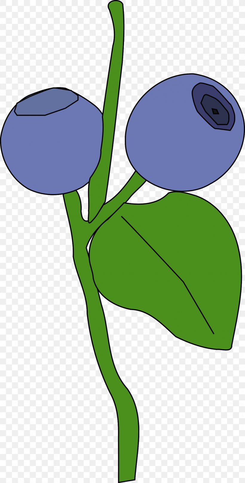 Blueberry Clip Art, PNG, 1217x2400px, Berry, Artwork, Blueberry, Flora, Flower Download Free