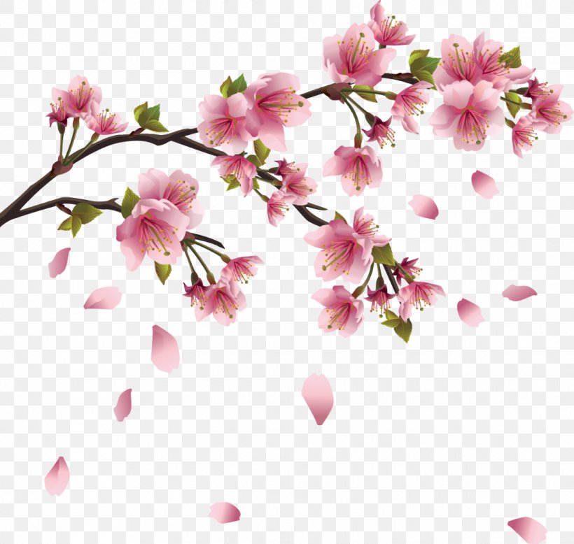 Cherry Blossom Clip Art, PNG, 1137x1080px, Cherry Blossom, Blossom, Branch, Cherry, Drawing Download Free