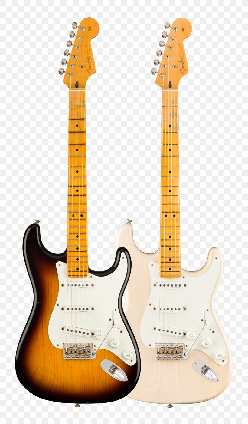 Fender Stratocaster Eric Clapton Stratocaster Fender Precision Bass Fender Musical Instruments Corporation Guitar, PNG, 800x1400px, Fender Stratocaster, Acoustic Electric Guitar, Bass Guitar, Electric Guitar, Electronic Musical Instrument Download Free