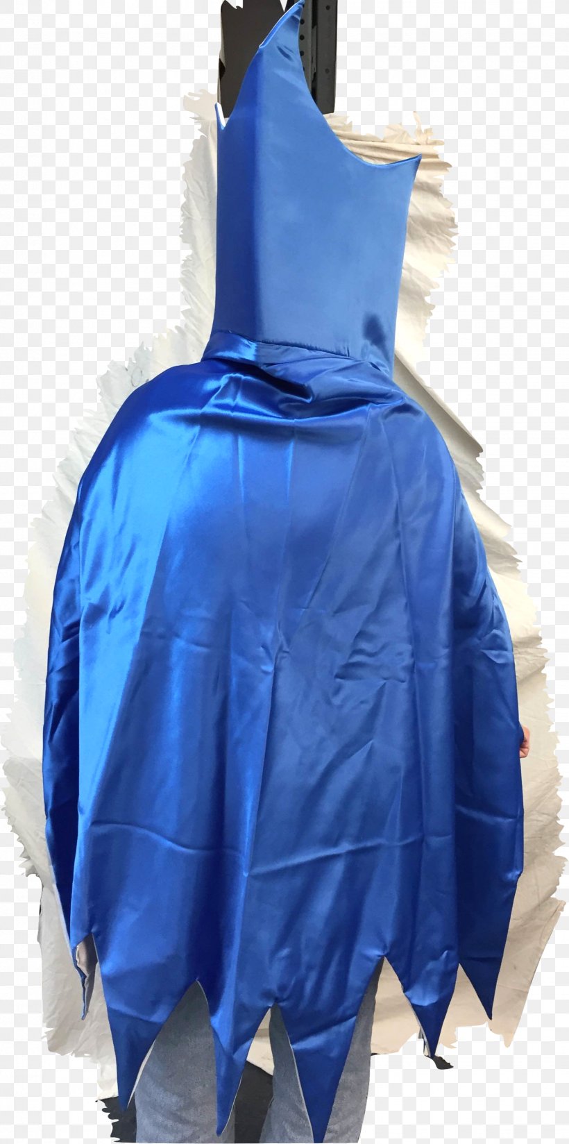 Outerwear, PNG, 1544x3104px, Outerwear, Blue, Costume, Electric Blue Download Free