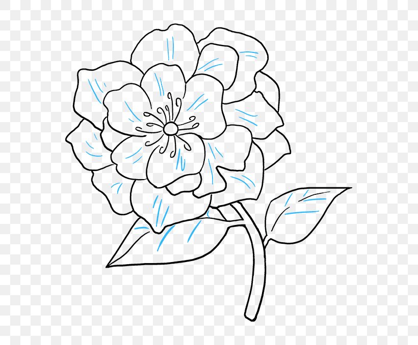 Peony Drawing Clip Art Line Art Image, PNG, 680x678px, Peony, Art, Blue, Botany, Coloring Book Download Free
