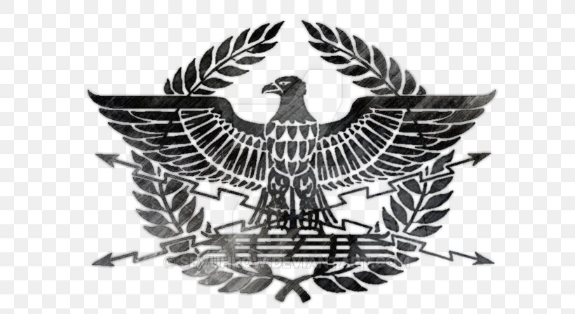 Ancient Rome SPQR Aquila Eagle T-shirt, PNG, 600x448px, Ancient Rome, Aquila, Bird, Bird Of Prey, Black And White Download Free