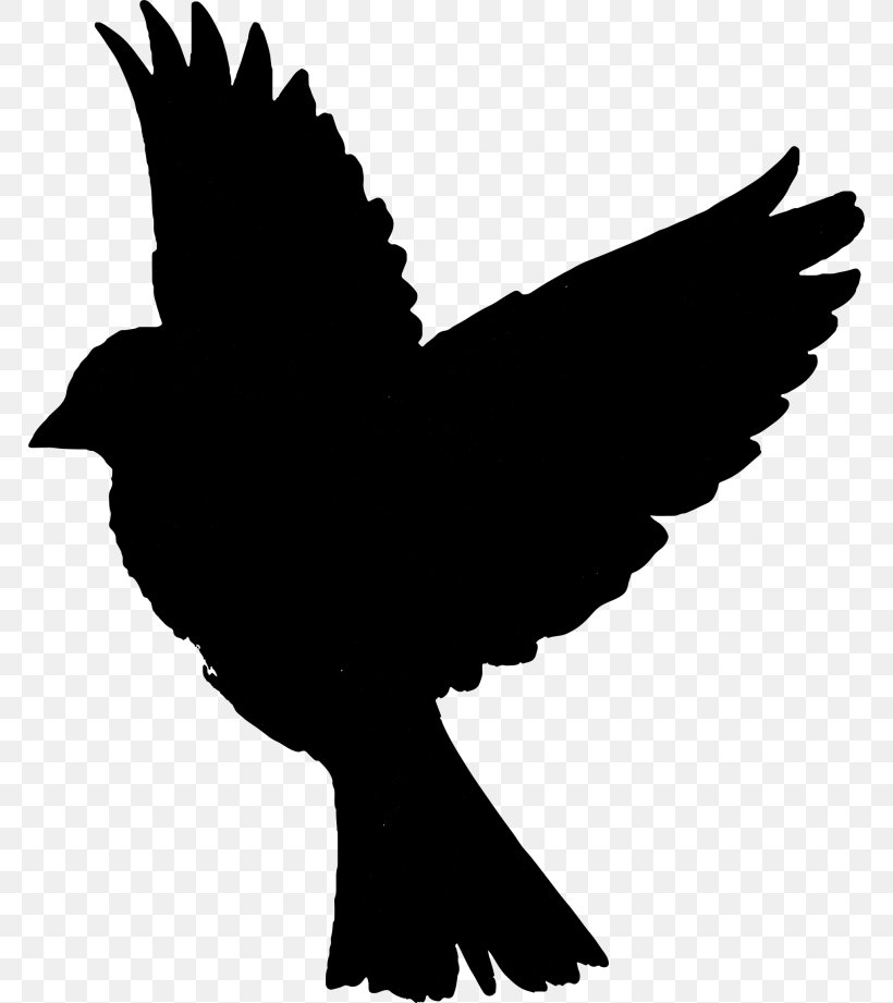 Beak Clip Art Silhouette Fauna Feather, PNG, 768x921px, Beak, Bird, Blackandwhite, Fauna, Feather Download Free
