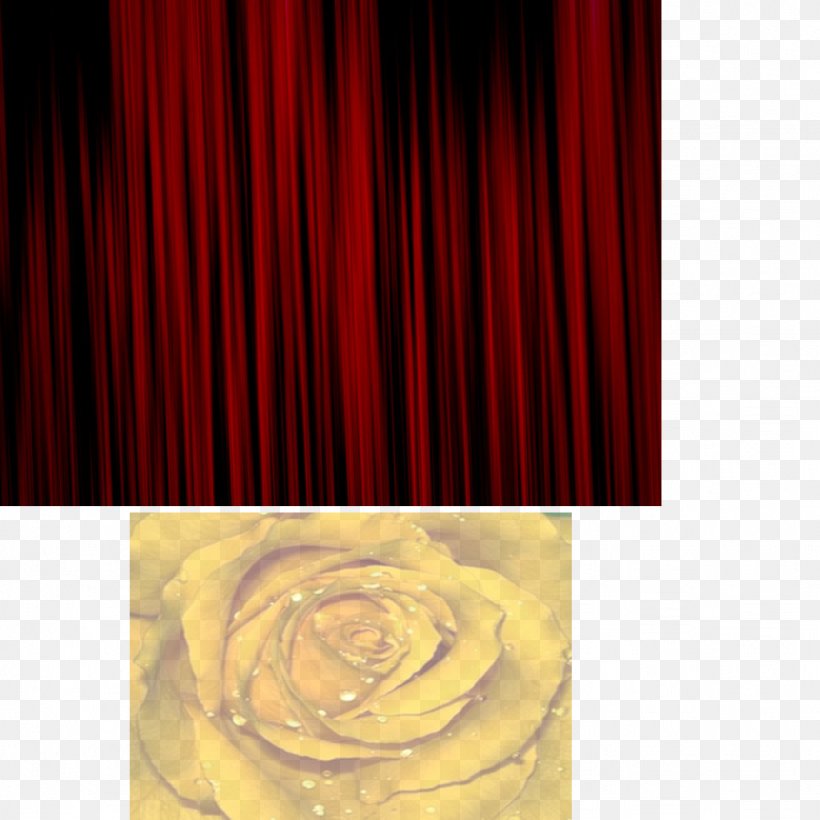 Curtain Petal RED.M, PNG, 1024x1024px, Curtain, Interior Design, Petal, Red, Redm Download Free