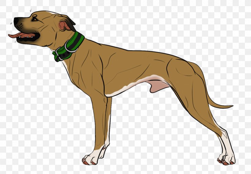Dog Breed Italian Greyhound Azawakh Leash, PNG, 1072x746px, Dog Breed, Azawakh, Breed, Carnivoran, Crossbreed Download Free
