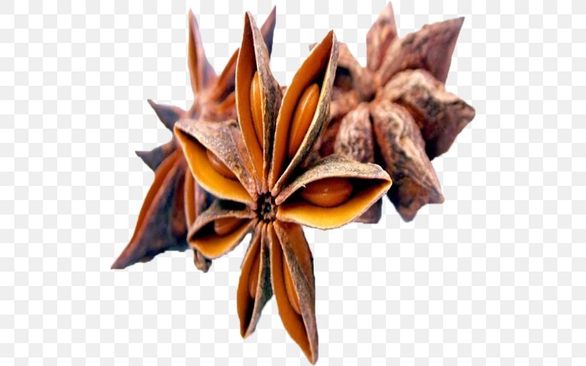 Star Anise Organic Food Spice, PNG, 512x512px, Anise, Apiaceae, Chia Seed, Dried Fruit, Fennel Download Free