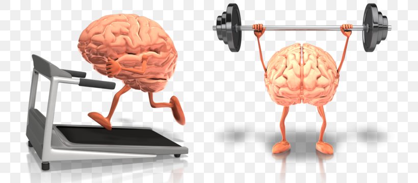 Brain Health Exercise Food Fish Oil, PNG, 784x360px, Watercolor, Cartoon, Flower, Frame, Heart Download Free
