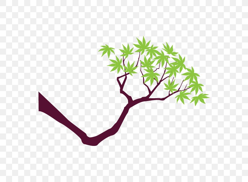 Clip Art Leaf Plant Stem Line, PNG, 600x600px, Leaf, Branch, Flora, Grass, Organism Download Free