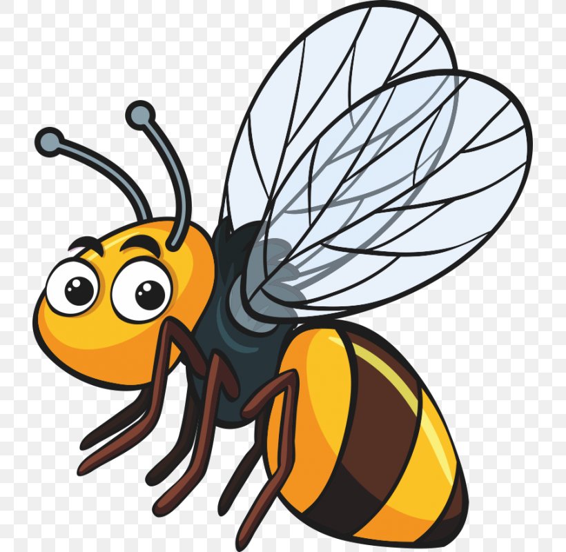 Insect Bee Clip Art, PNG, 800x800px, Insect, Arthropod, Artwork, Bee, Fly Download Free