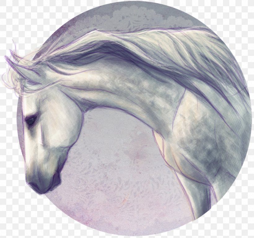 Mustang Snout Unicorn Stallion /m/02csf, PNG, 900x842px, Mustang, Drawing, Fictional Character, Head, Horse Download Free