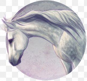Mustang - Mustang Snout Unicorn Stallion /m/02csf PNG