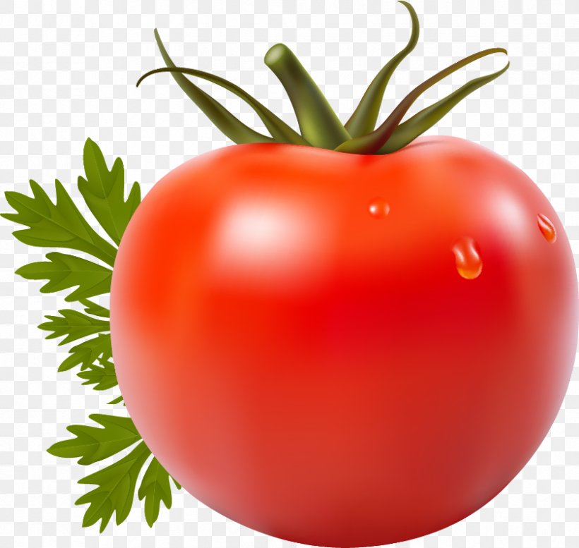 Tomato Juice San Marzano Tomato Vegetable Cherry Tomato, PNG, 839x796px, Tomato Juice, Bush Tomato, Cherry Tomato, Diet Food, Food Download Free