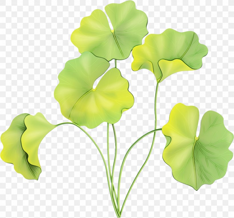 Petal Cut Flowers Plant Stem Leaf Plants, PNG, 1522x1418px, Watercolor, Annual Plant, Artificial Flower, Arum Family, Cut Flowers Download Free