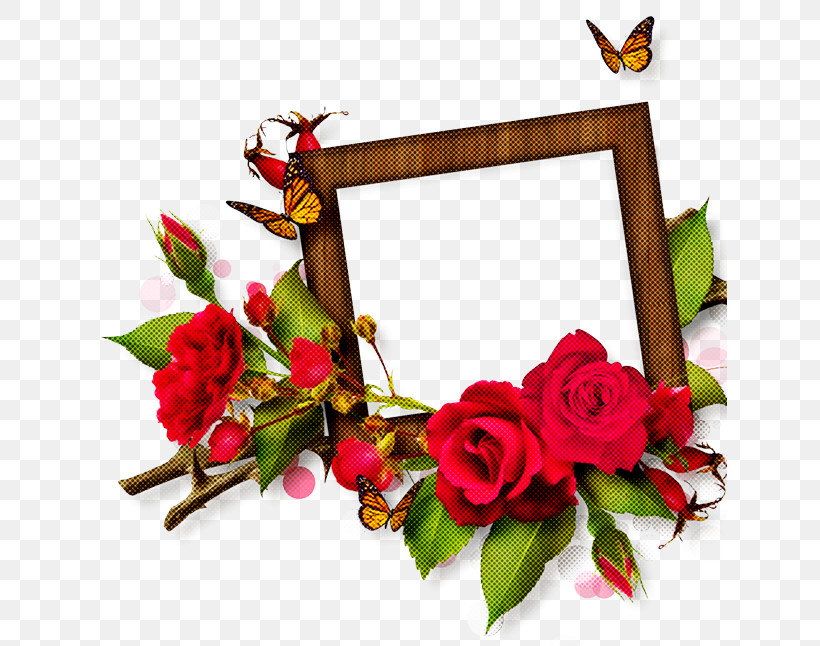 Picture Frame, PNG, 635x646px, Flower, Branch, Cut Flowers, Picture Frame, Plant Download Free