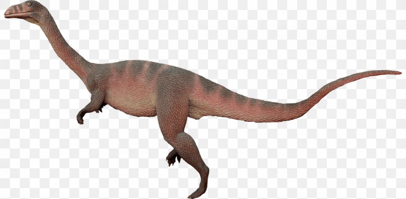 Plateosaurus Anchisaurus Velociraptor Chirostenotes Dinosaur, PNG, 1040x510px, Plateosaurus, Anchisaurus, Animal Figure, Chirostenotes, Dinosaur Download Free