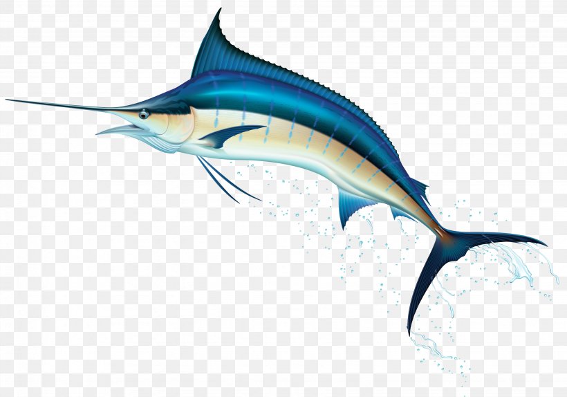 Swordfish Clip Art, PNG, 3069x2152px, Swordfish, Atlantic Blue Marlin, Billfish, Bony Fish, Dolphin Download Free