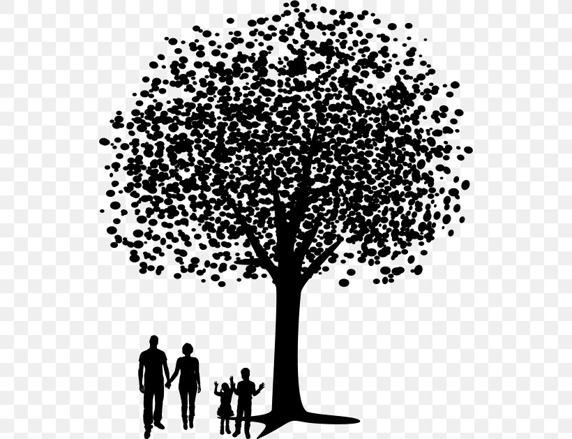 Branch Tree Black, PNG, 536x629px, Branch, Black, Black And White, Family Tree, Human Behavior Download Free
