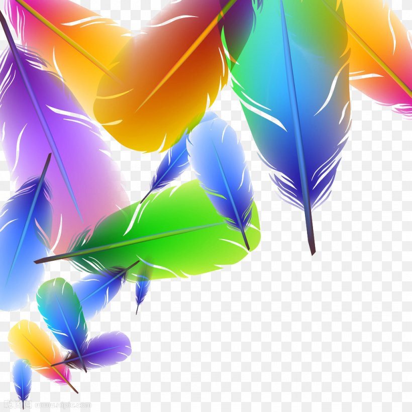 Feather Color Euclidean Vector Illustration, PNG, 1024x1024px, Feather, Color, Leaf, Petal, Royaltyfree Download Free