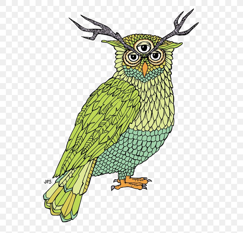 Owl Beak Coloring Book Feather, PNG, 600x785px, Owl, Art, Beak, Bird, Bird Of Prey Download Free