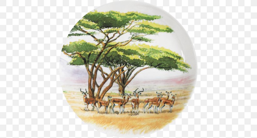 Savanna Tableware Couch Plate Safari, PNG, 587x443px, Savanna, Attitude, Contrast, Couch, Dishware Download Free