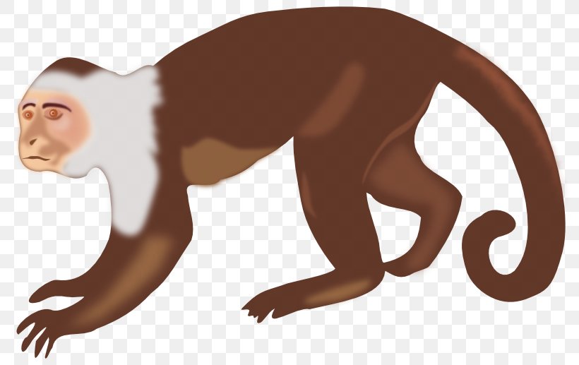 The Evil Monkey Clip Art, PNG, 800x517px, Monkey, Carnivoran, Cat Like Mammal, Evil Monkey, Fauna Download Free