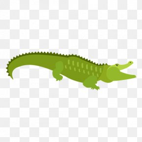 Saltwater Crocodile American Crocodile - Alligator Cartoon PNG