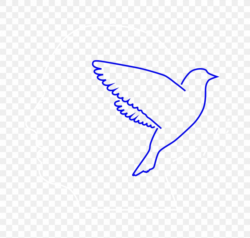 Beak Feather Line Art Clip Art, PNG, 2511x2400px, Beak, Area, Art, Artwork, Bird Download Free