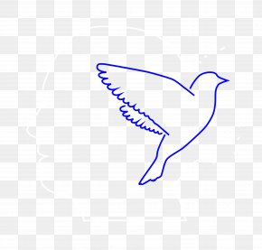 Feather - Beak Feather Line Art Clip Art PNG