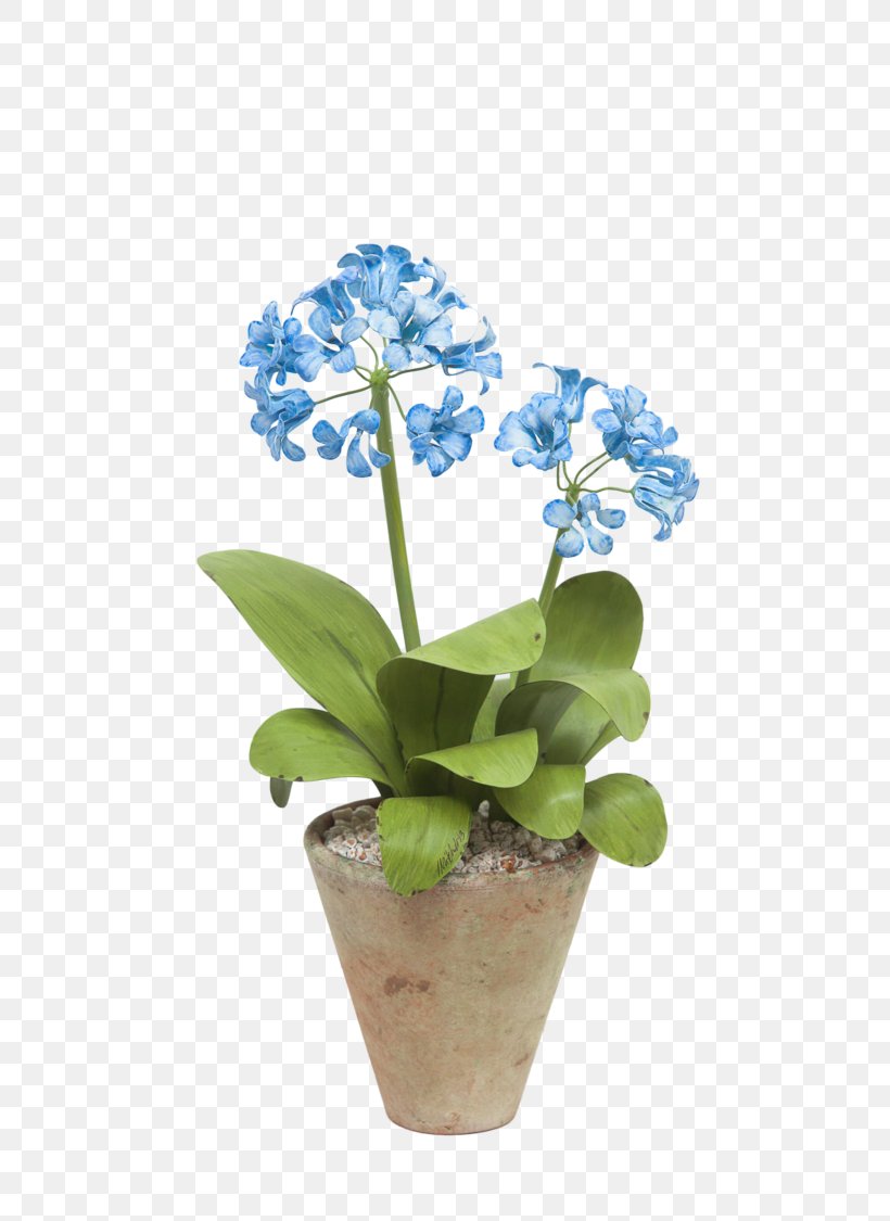 Harvard Museum Of Natural History Cut Flowers Glass Flowers Flowerpot, PNG, 750x1125px, Cut Flowers, Art Museum, Artificial Flower, Blue, Cambridge Download Free