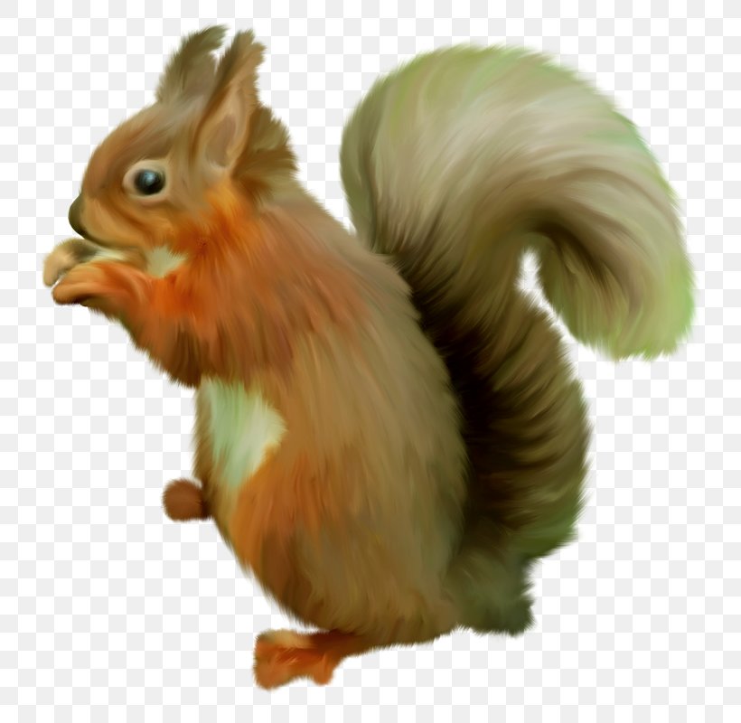 World Alphabets GIMP Squirrel, PNG, 758x800px, World Alphabets, Animation, Beak, Drawing, Fauna Download Free