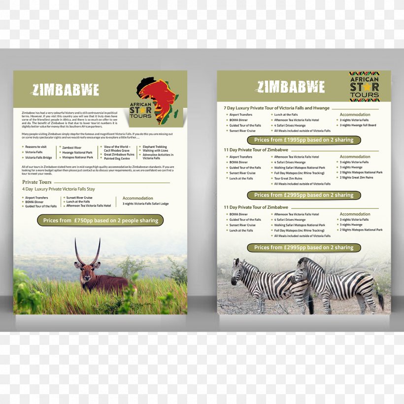 Advertising Brand Fauna, PNG, 1400x1400px, Advertising, Brand, Brochure, Fauna, Flora Download Free