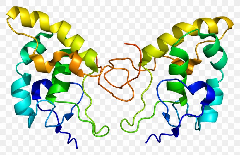 FZD8 Frizzled Protein Gene Function, PNG, 987x639px, Watercolor, Cartoon, Flower, Frame, Heart Download Free