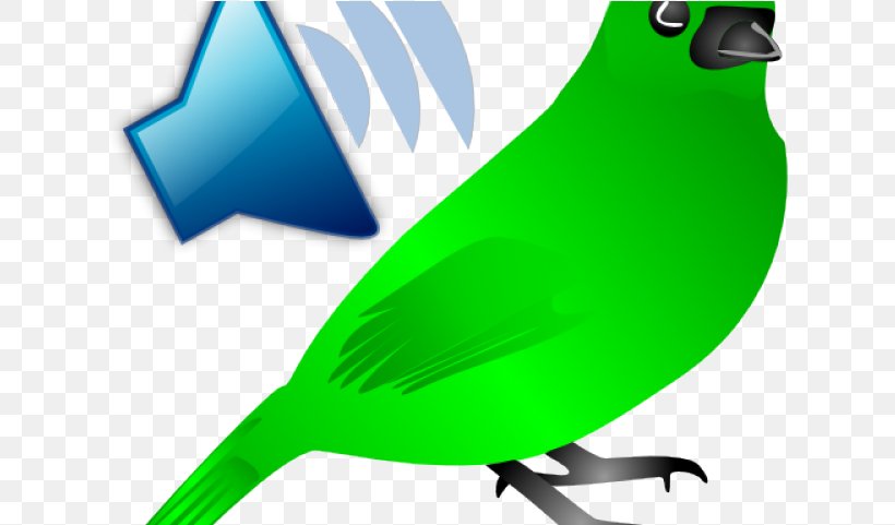 Bird Silhouette, PNG, 624x481px, Bird, Beak, Drawing, Green, Perching Bird Download Free
